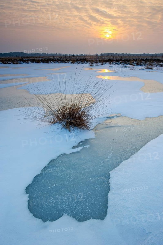 Winter landscape with snow and ice in Rehdener Geestmoor, Rehden, Lower Saxony, Germany