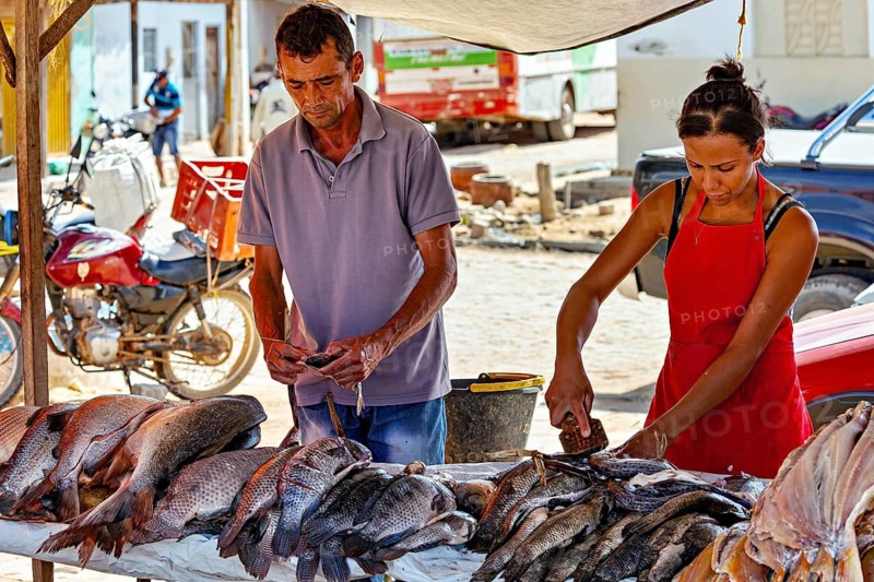 Man and woman process fish at a market stand, everyday work in the open air, market scene in a small town in Caatinga in Bahia and Pernambuco in Brazil