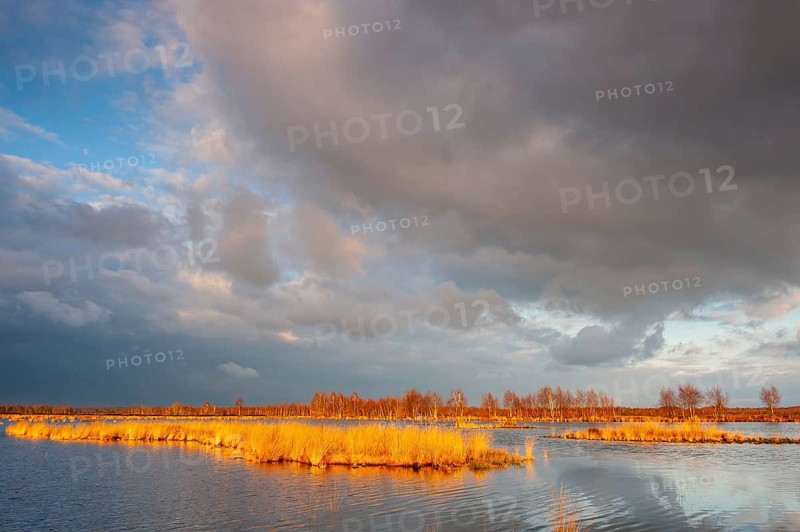 Autumn Goldenstedter Moor, Goldenstedt, Lower Saxony, Germany