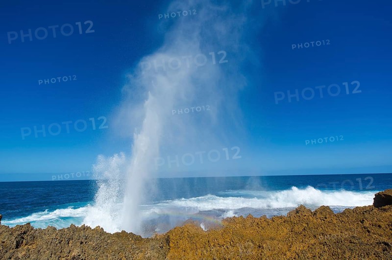 Hot springs near Carnarvon, Australia, water fountain, potholes, Carnarvon, Western Australia, Australia