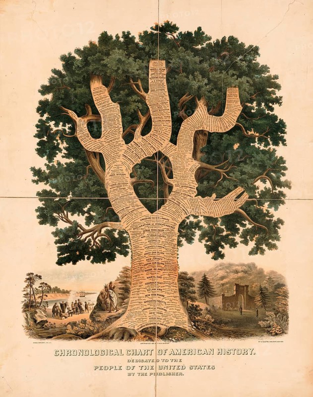 Chronological Chart of American History from 1881, which presents American history as a large, inscribed tree. The trunk and branches of the tree are inscribed with dates, historical events, US presidents and the names of the original colonies, starting at the root with the discovery of America by Columbus, authentic, digitally restored reproduction in high resolution from a 19th-century original, exact date of presentation unknown, American history, historical
