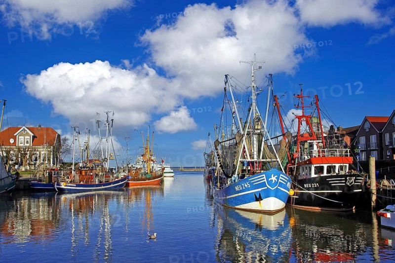 The old port of Neuharlingersiel, East Frisia, island ferry to Spiekeroog, ferry, fishing boats, crab trawler, fishing boat, cutter regatta, East Frisian Islands, East Frisia - Neuharlingersiel, Germany