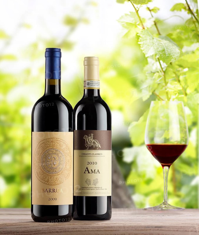 2 bottles of red wine and 1 red wine glass on a wooden board in front of grapevines