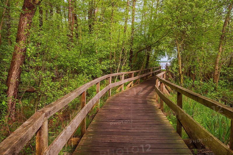 Moor bridge, Steinhuder Meer, Mardorf, Neustadt am Rübenberge, Hanover region, Lower Saxony