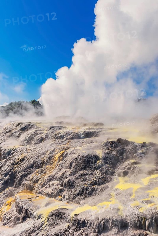 Prince of Wales and Pohutu geysers erupting, Te Puia Thermal Valley, Rotorua, Bay of Plenty, North Island, New Zealand
