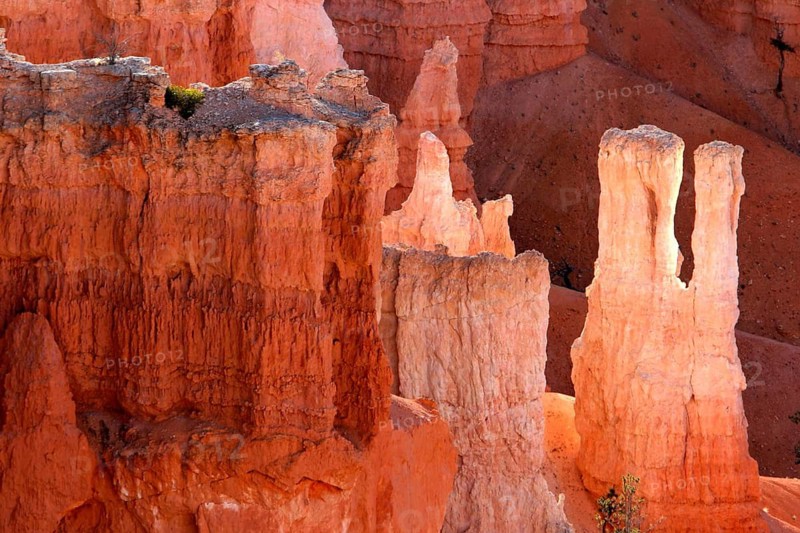 Geography, Bryce Canyon NP, Utah, USA, National Park, Erosion, Sandstone, Bryce Canyon NP, UTAH, USA