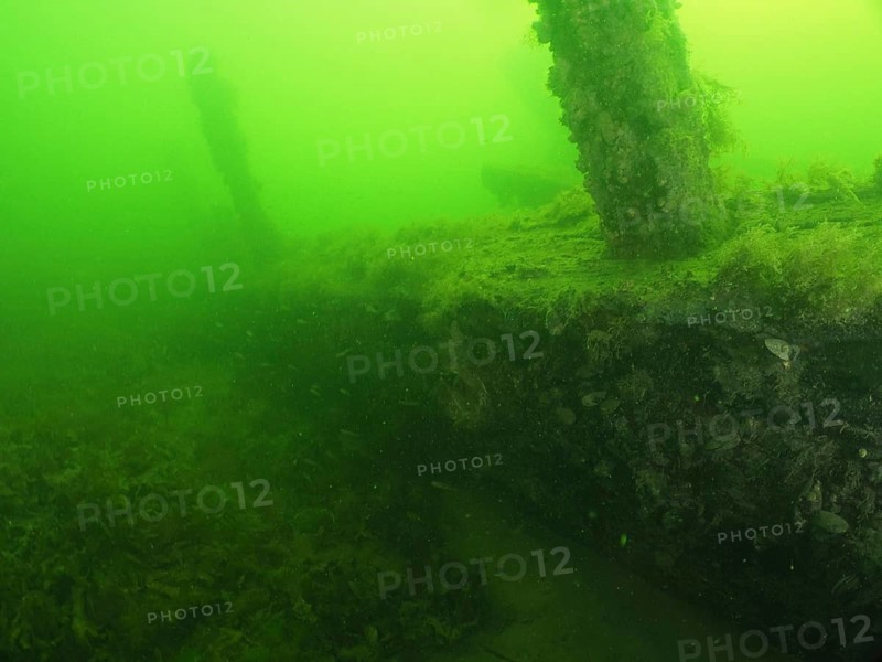 Underwater wreck overgrown with seaweed in green waters, Severn (Trubbnos) wreck dive site, Konabbsfjärden, Nynäshamn, Stockholm, Sweden