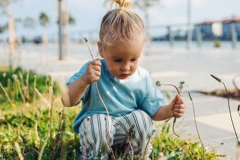 Young child girl with blonde hair sits on the grass in a park, carefully examining plants and holding green stems. Bright sunlight casts shadows on the surroundings creating a peaceful atmosphere