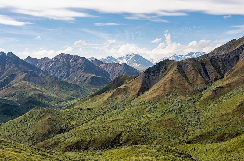 Tundra and mountainous landscape of the Alaska Range, Sable Pass, Denali National Park and Preserve, Alaska, USA