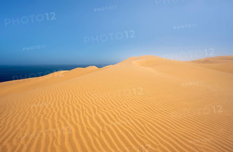 Sand dunes with wave patterns, dune sea, sandy desert, impressive desert landscape, Namib Naukluft Park, Namib desert, Namibia