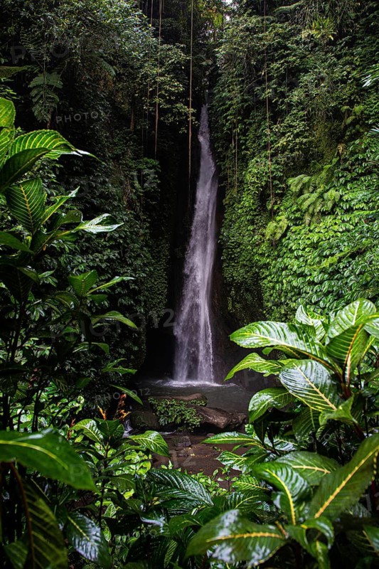 View of Leke Leke Waterfall tumbling through lush tropical forest, Bali, Indonesia
