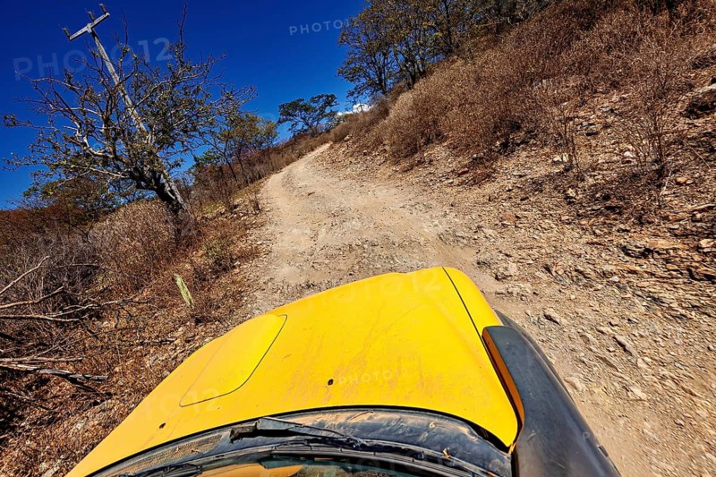 Off-road vehicle on a dusty road in a dry landscape surrounded by trees, The thornshrub savanna in the Caatinga countryside in the federal states of Pernambuco and Bahia in Brazil