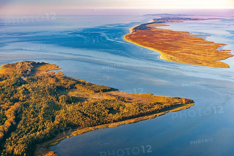Werder Islands near Zingst in the Western Pomerania Lagoon Area National Park with a view of Hiddensee Island, Zingst, Mecklenburg-Western Pomerania, Germany
