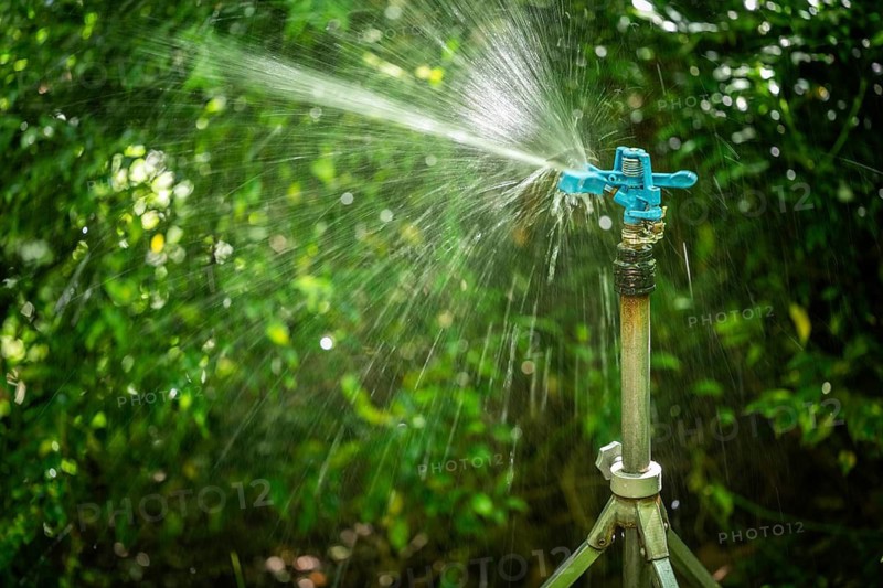 A sprinkler irrigates wet-shining plants, sunlight, Chelsea Physic Garden, historic botanical garden, oldest botanical garden in London, founded in 1673 by the Worshipful Society of Apothecaries, Chelsea, England, Great Britain