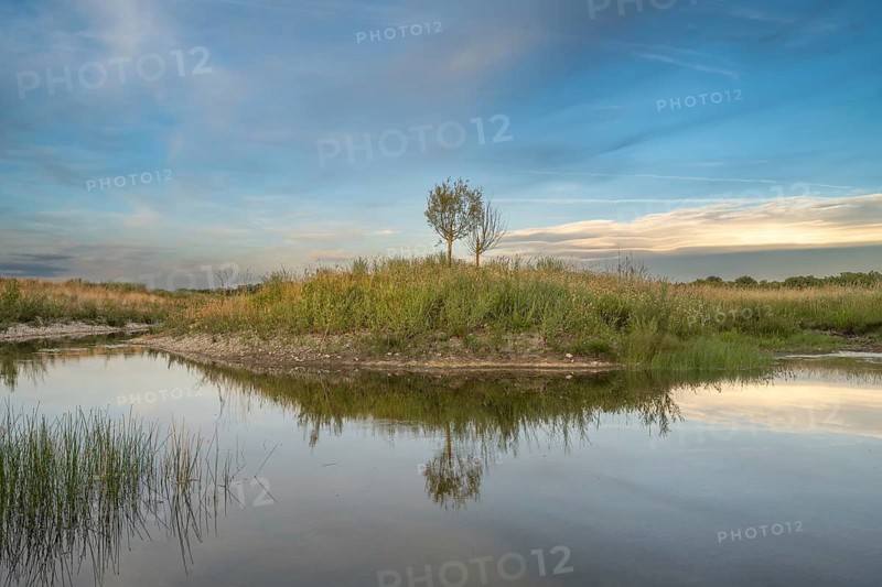 A tree can be seen on a small island in the middle of a body of water. The surrounding area is characterized by grass and reflections on the water. The sky is clear and only slightly cloudy. Bas-Rhin, Alsace, France