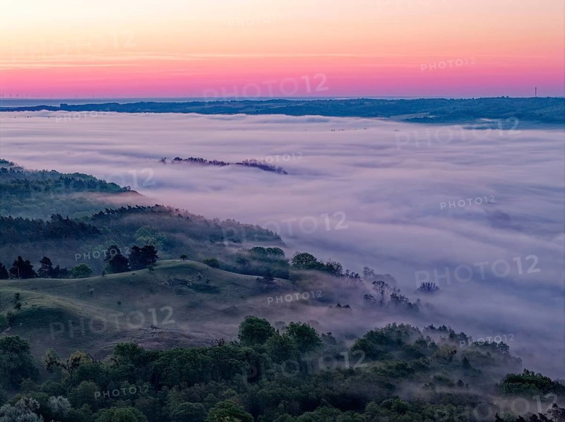 The hilly landscape of the Uckermark on the edge of the Oder Valley in morning light and fog above the Lower Oder Valley National Park. aerial view. Stützkow, Schwedt, Brandenburg, Germany