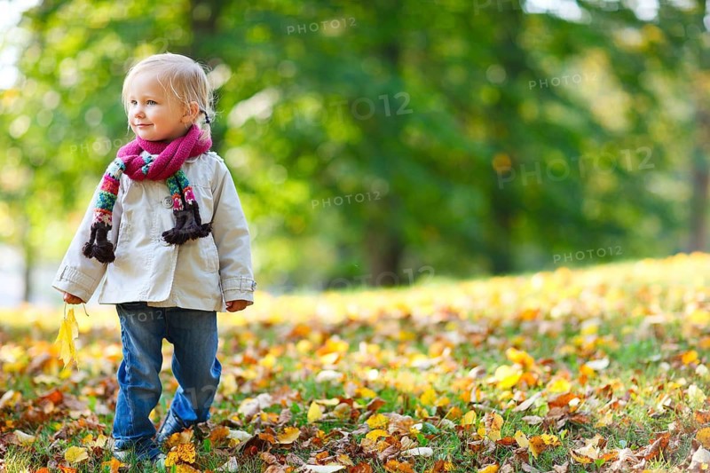 A little girl in autumn in the forest, park, autumn leaves, Finland, Scandinavia