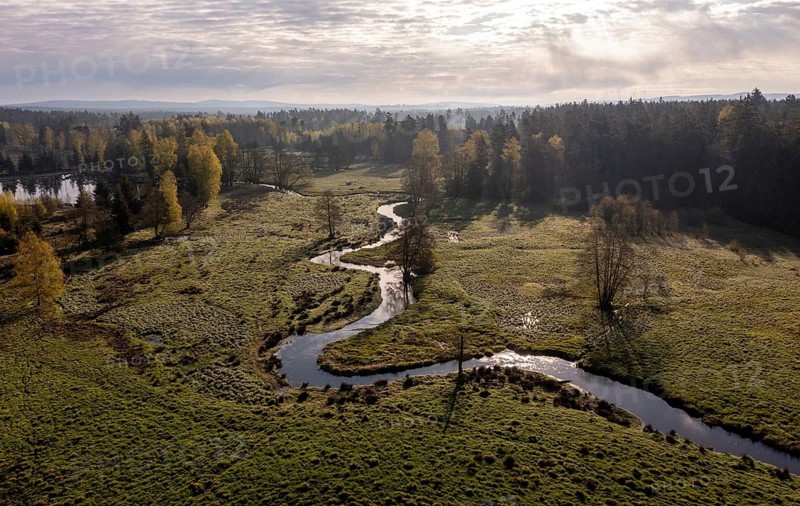 Bavaria, Upper Palatinate, Tirschenreuth, Waldnaab, Waldnaabaue, wild pastures Waldnaabaue, aerial view, aerial view
