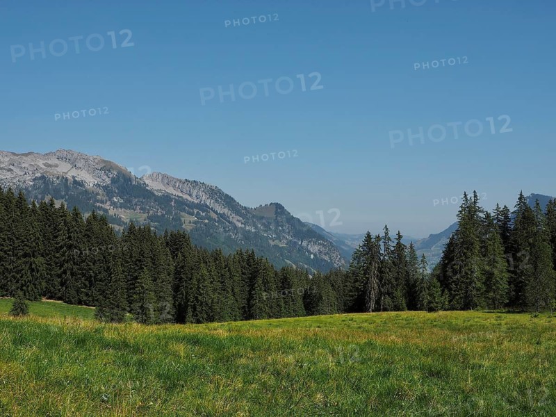 Mountain landscape with karst mountains, green meadow, in front of pine hills and rocky mountains, UNESCO Entlebuch Biosphere, Switzerland