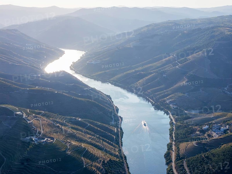Aerial drone view of a tourist cruise boat traveling through the Douro Valley between terraced vineyard hills in Portugal