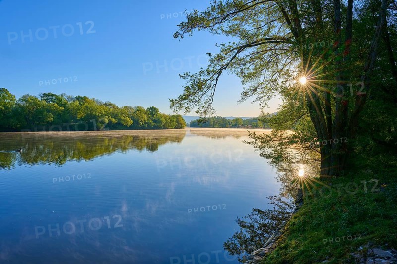 Morning sun illuminates the riverbank as the water flows calmly, Boxtal, Main-Boxtal, Tauber-Kreis, Baden-Württemberg, and Stadtprozelten, Dorfprozelten, Main, Spessart, Bavaria, Germany