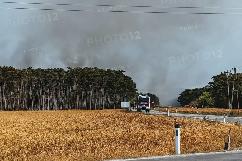 Forest fire in the Föhrenwald on August 14, 2026, fire engine, Lower Austria, Austria