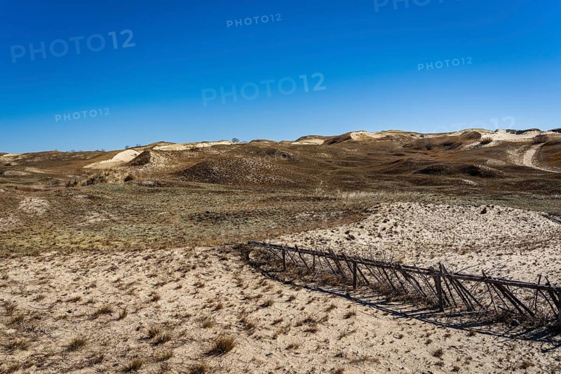 The Gray Dunes, or the Dead Dunes is sandy hills with a bit of green specks at the Lithuanian side of the Curonian Spit, Arid desert landscape with undulating dunes under a clear blue sky, Curonian Spit, Neringa, Lithuania