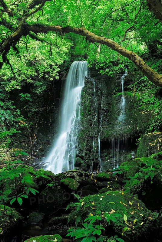 The Matai Falls, Catlins Forest Park, Otago, South Island New Zealand Waterfall, Otago, South Island, New Zealand