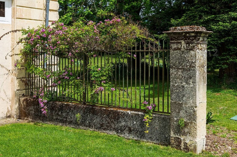 Decorative historic rose-covered garden wall in southern France