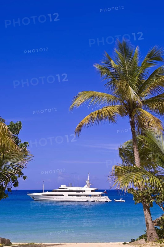 Yacht at Long Beach, yacht, boat, beach, palm trees, (Baie Longue) St Martin, St Maarten, palm-lined beach, blue sky, holiday, travel, Caribbean