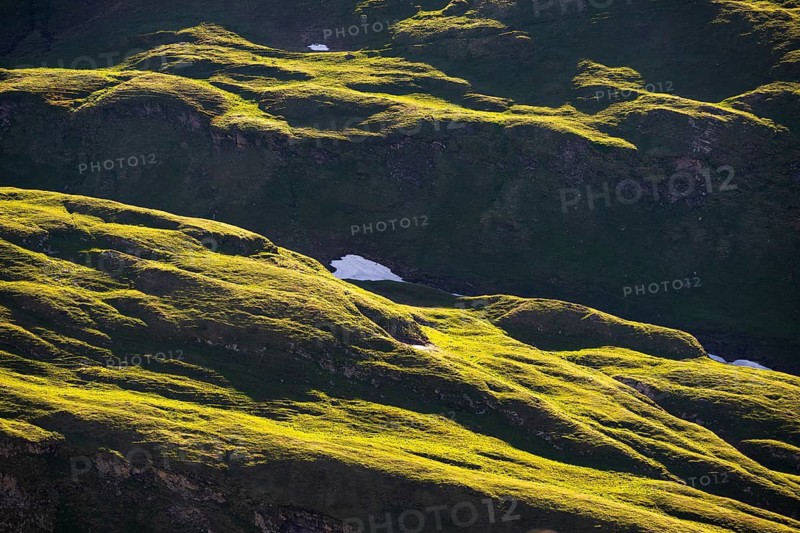 Evening light on the meadows of an alpine pasture in the Hohe Tauern National Park, mountains, Heiligenblut am Grossglockner, Carinthia, Austria