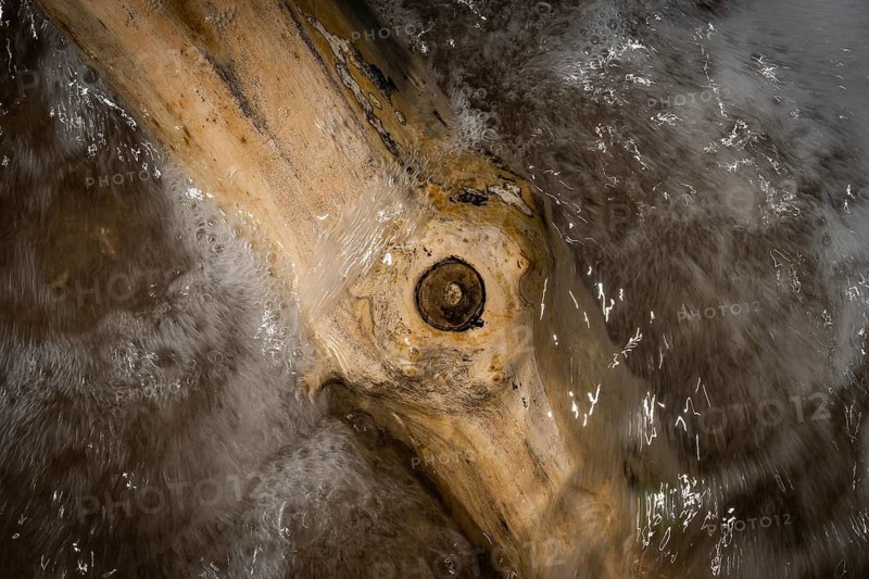 Piece of driftwood washed by surf, Houvig Beach, North Sea, Denmark