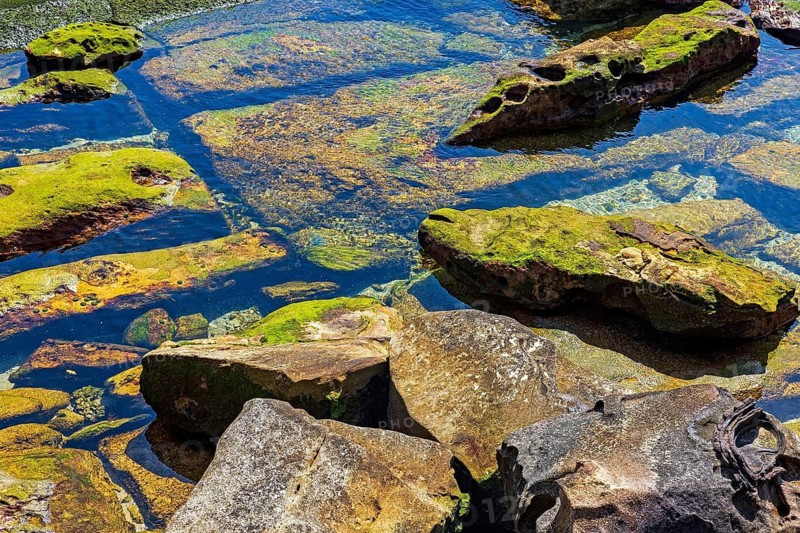 Brightly coloured rocks and clear water in a vibrant tide pool scene with the textures and colours of the marine environment, Rockpools, Manly, Sydney, Australia