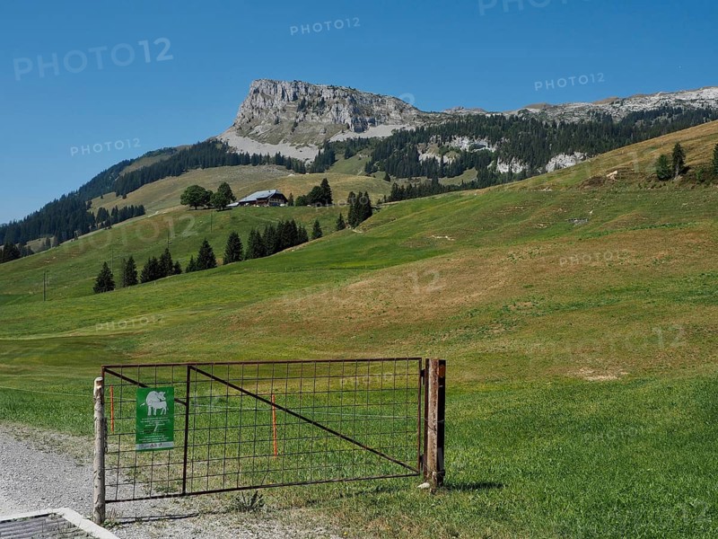 A gate with a warning sign for suckler cows at the entrance to an extensive meadow landscape with a mountain behind it, UNESCO Entlebuch Biosphere, Switzerland