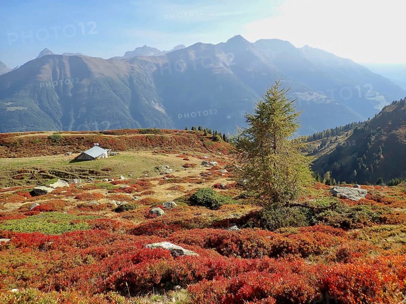 Hut on mountain plateau in an autumnal setting with a peaceful natural background, Fiescheralp, UNESCO World Heritage Site Swiss Alps Jungfrau-Aletsch, Canton of Valais, Switzerland