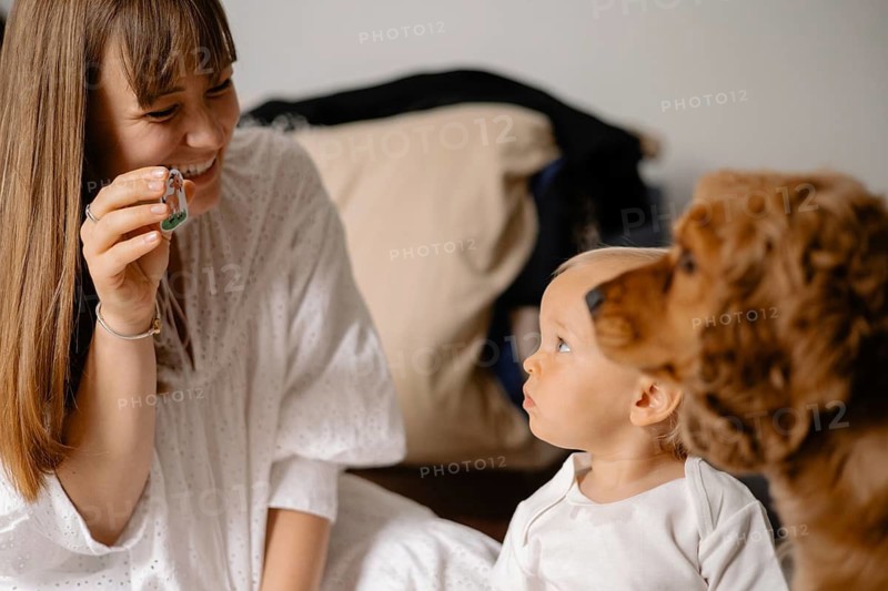 A mother shows a toy to her child while surrounded by a dog, creating a warm family scene