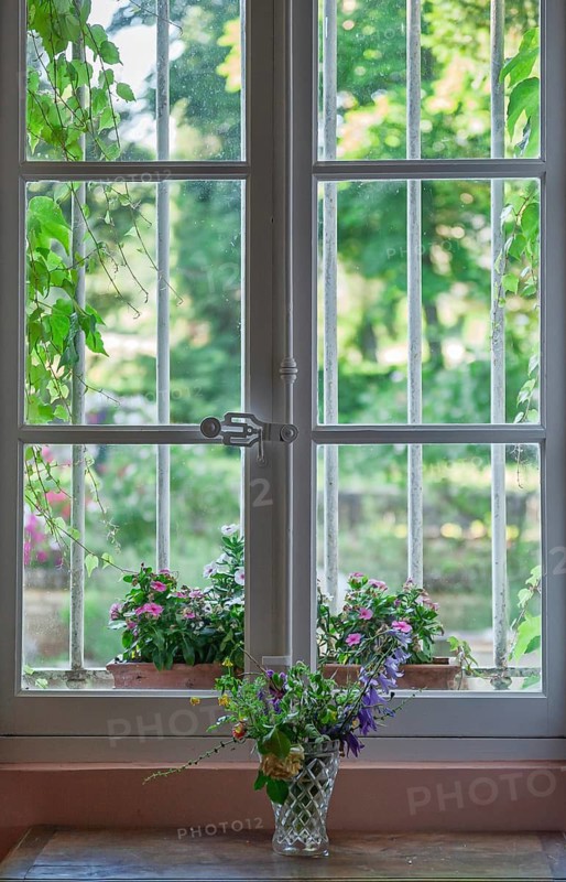 View through a window with flowers and green garden scenery in the background, peaceful atmosphere, Provence, France