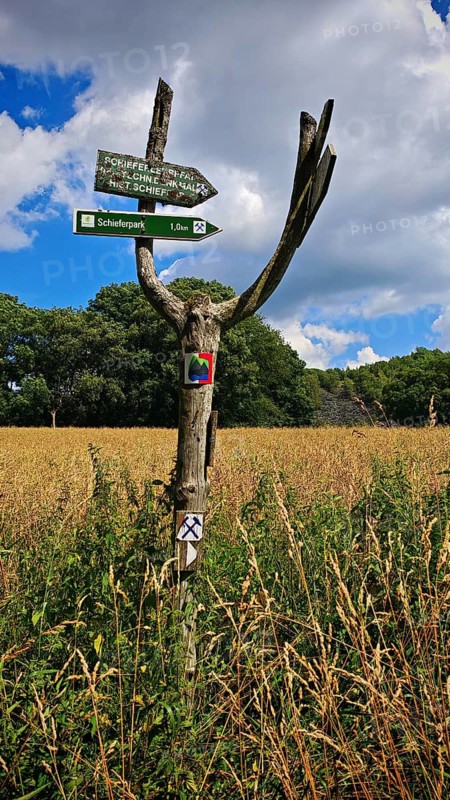 A wooden signpost stands in a grassy field under a partly cloudy sky, hiking on the Rennsteig near Lehesten, Thuringian Schiefergebirge Obere Saale nature park Park