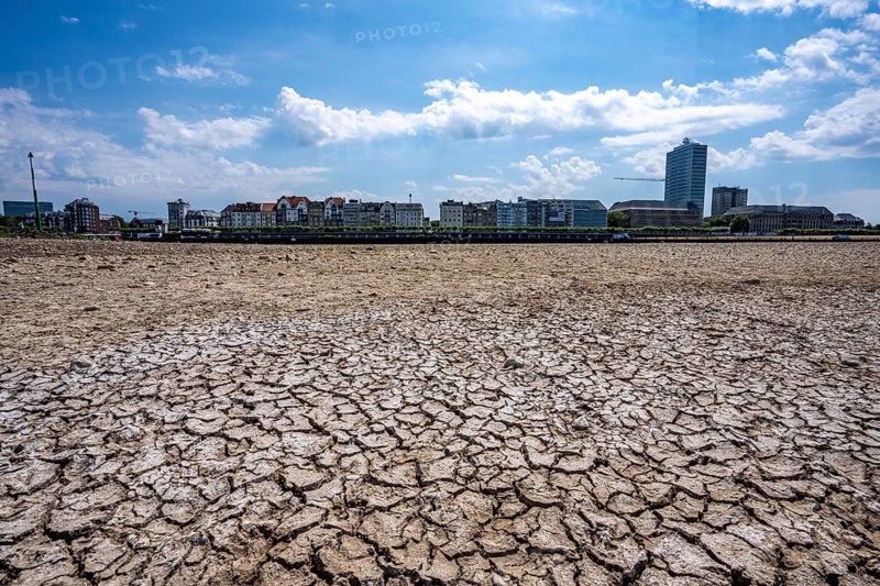 Dried riverbed, brittle floes, extreme low water, Rhine level at 41 cm, downward trend, freighters must sail with reduced load, after the long drought, the left bank of the Rhine falls dry near Düsseldorf Oberkassel, North Rhine-Westphalia, Germany