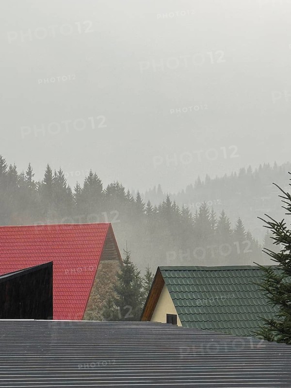 A misty landscape featuring rooftops of houses in various colors, surrounded by dense evergreen trees and foggy mountains in the background