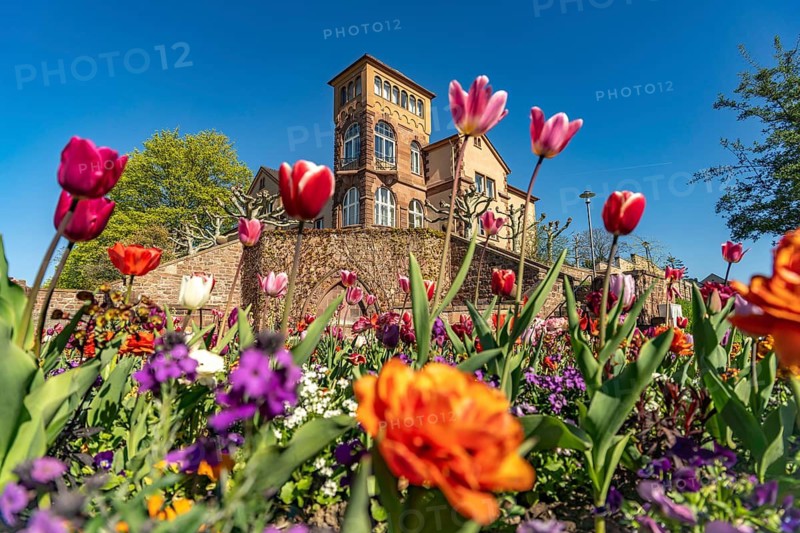 Worms, Rhineland-Palatinate, Germany