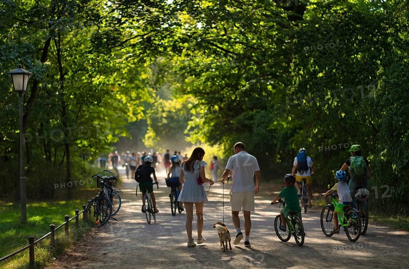 Walkers, cyclists, dogs, lots of traffic on the walking trail, English Garden, Munich, Bavaria, Germany