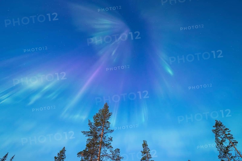 Northern Lights (Aurora borealis), Gällivare, Norrbotten, Lapland, Sweden, April 2025