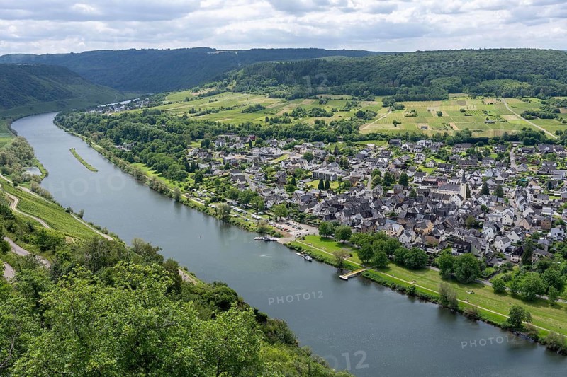 The wine town of Pünderich, in the district of Cochem-Zell, on the Moselle, view from the vineyards of the Pündericher Marienburg location, Rhineland-Palatinate, Germany