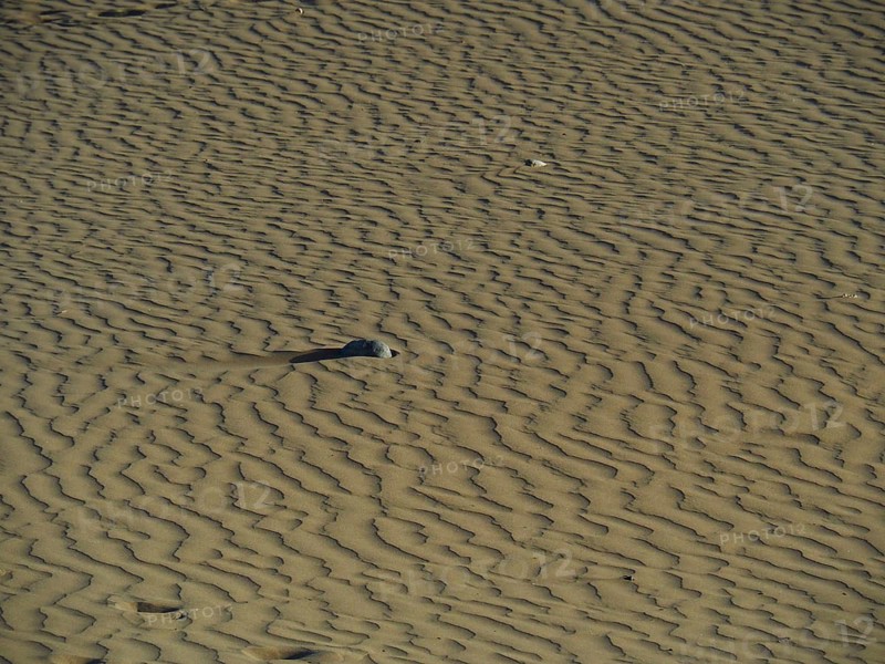 Close-up of sand with natural patterns and minimalistic atmosphere, Maspalomas dunes, Gran Canaria, Spain