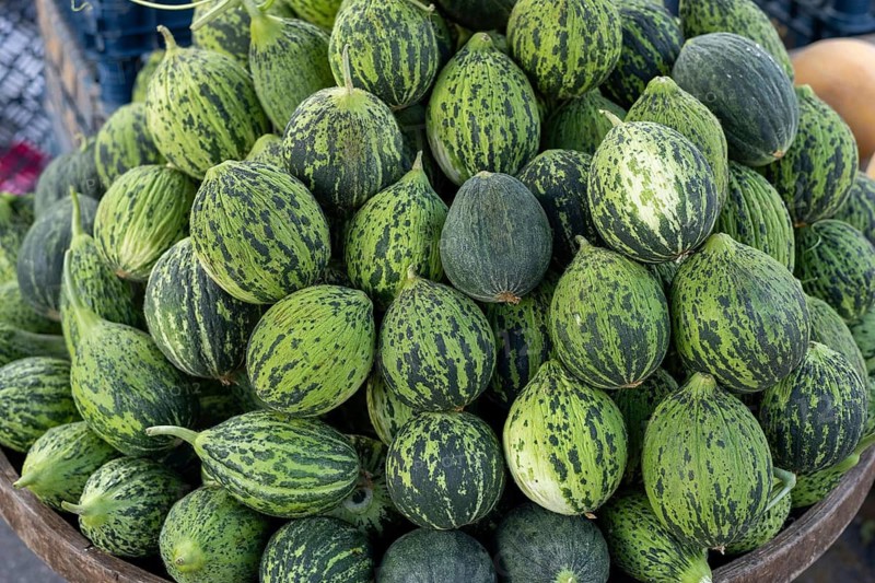 Heap of green striped gourds displayed in a market setting