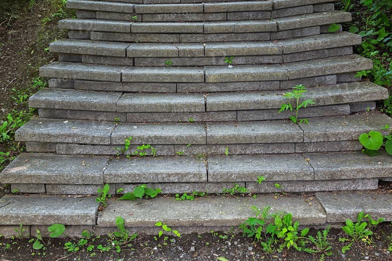 Grey manufactured stone steps overgrown with undesirable mixed plants and weeds including Taraxacum officinale - Dandelion in late spring, Quebec, Canada