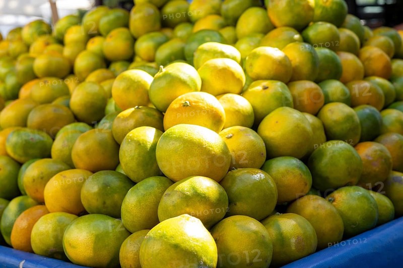A large pile of fresh mangoes in various shades of yellow and green at a market stall