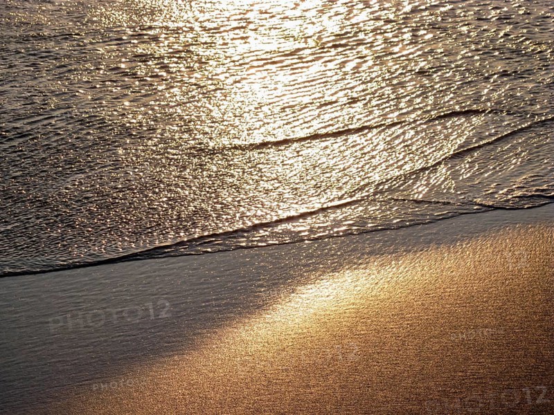 Close-up of an ocean coast in the golden light of the setting sun, soft waves rolling on the wet, shiny sand, North Sea, Wenningstedt, Sylt, Germany