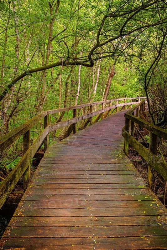 Moor bridge, Steinhuder Meer, Mardorf, Neustadt am Rübenberge, Hanover region, Lower Saxony